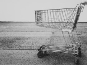 bruno kelzer LvySG1hvuzI unsplash